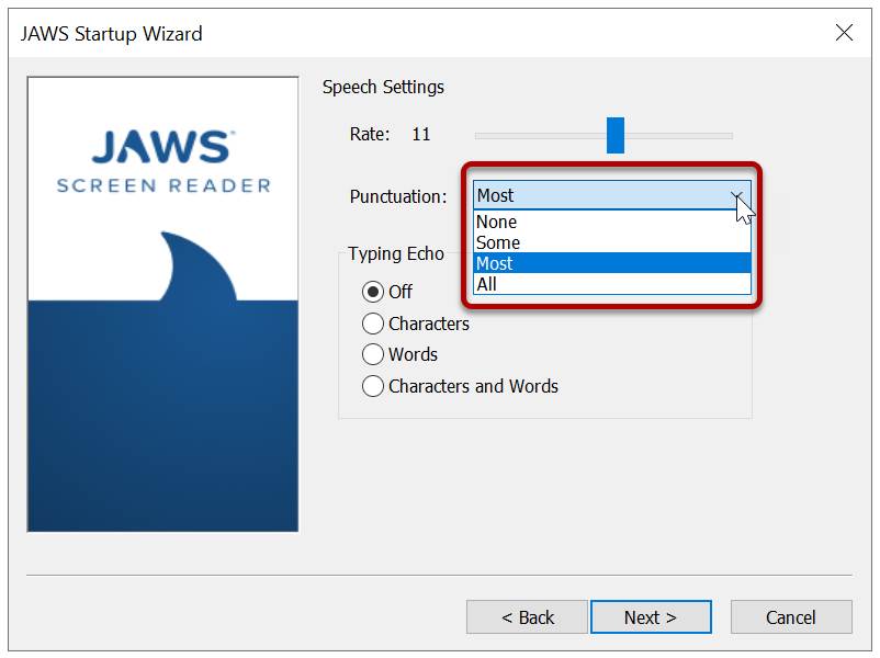 The Speech Settings pane of the JAWS Startup Wizard is shown with the Punctuation settings outlined in red. The punctuation options are None, Some, Most, and All.