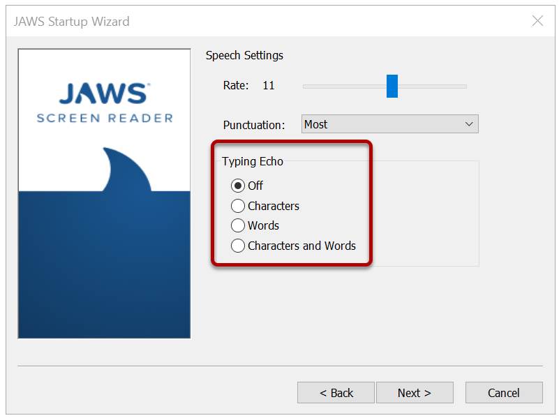 The Speech Settings pane of the JAWS Startup Wizard is shown with the Typing Echo section highlighted in red. There are four Typing Echo options: 1) Off, 2) Characters, 3) Words, and 4) Characters and Words.